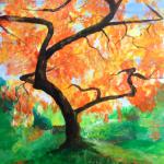 Maple in Orange and Yellow