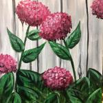 Hydrangea